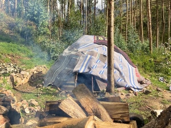 Smoke rising from a traditional temazcal sweat lodge